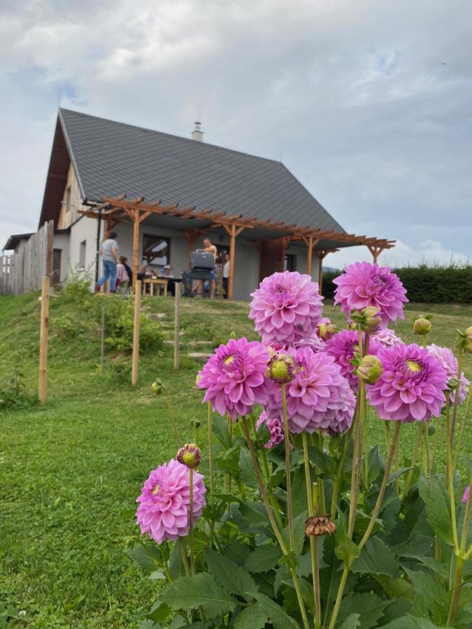 Apartmany U Mateje Dolní Morava Kültér fotó