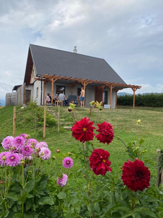 Apartmany U Mateje Dolní Morava Kültér fotó